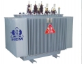 Máy biến áp phân phối HEM 160 – 22/0.4